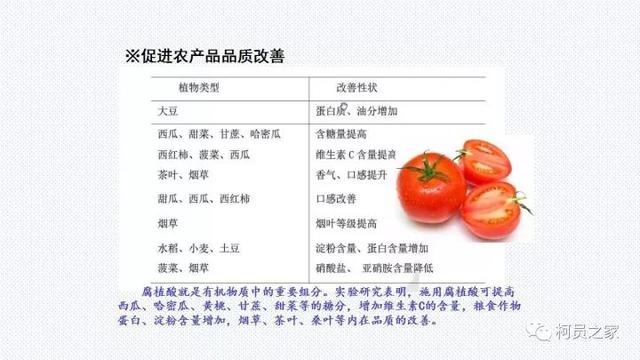 氨基酸、腐殖酸、黄腐酸都是什么东东？有啥用？