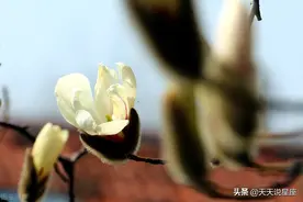 能温柔，又能霸道，性格多变，对待恋人还是很温暖的三个星座图片