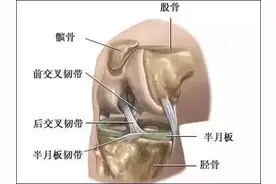 膝关节康复锻炼图片