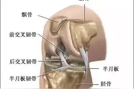 膝关节康复锻炼图片