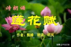 【平邑文艺】诗朗诵：《莲花赋》（作者：甄峰    朗诵：明岚）图片