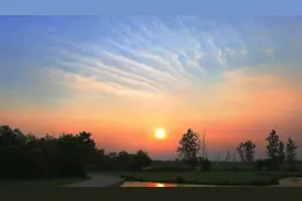 《菜根谭》：走自己的路，做该做的事，问心无愧就好图片