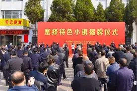 临县举行“蜜蜂特色小镇”揭牌仪式图片