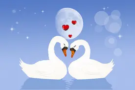 乳腺癌手术后，老公经常躲在书房，我提出离婚，他才向我坦白图片