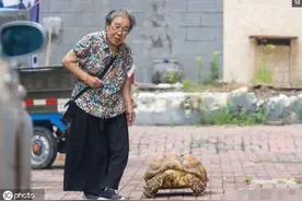 老奶奶养乌龟13年，有人出价3万没卖，如今不知如何处理求支招图片