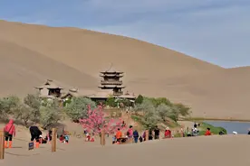 60后深圳阿姨：不一样的心情不一样的风景，好心情成就靓丽的风景图片