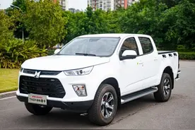 看车标认不出的车型，还是一台皮卡，TAGA达咖H图片