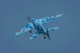 仿生飞鱼，我们做了一架无人机图片