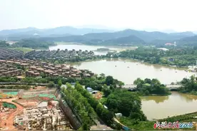 ​郭鹤立到广东佛山深圳考察图片