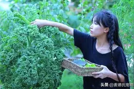 农村狗的快乐，你们城里狗想象不到图片