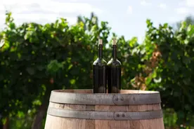 关于西班牙葡萄酒，只看这一篇就都懂了图片