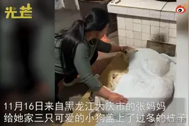 暖心丨大妈深夜起床给狗狗盖被子取暖图片