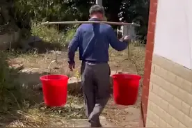 广东一女子坐月子公公每天挑艾叶水给媳妇孙女洗澡，每日老酒煮鸡图片