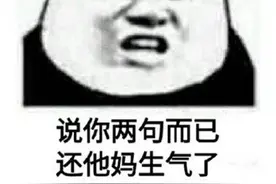 表情包：说你两句而已 还生气了图片