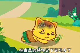猫小帅故事之神农尝百草：为百姓分辨各种草药，最终因断肠草身亡视频封面