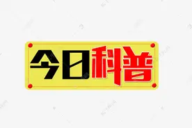 圣女果是转基因食物吗？图片