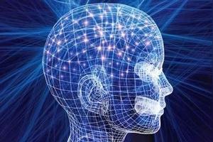 思维的速度是谁决定的?图
