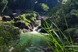 诗画泽雅美在山水美在人文——瓯海文成青田骑行记(一)图片