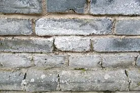 少时，常用墙上刮下来的芒硝与木炭混在一起捣成粉末，用火柴点燃图片