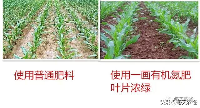 新型一画有机氮肥横空出世，效果吊打传统尿素