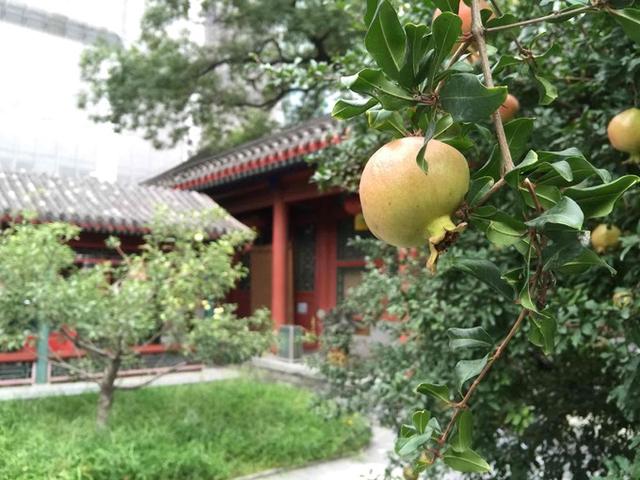 北京住宿攻略，帮你分析住哪最方便