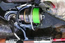 路亚新人避坑指南：小白玩家买PE线之前需要知道的五件事情图片