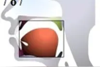 西班牙语入门学习之西班牙语你好怎么说？图片