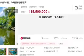 1.15亿杭州最贵法拍房流拍，装修比房贵，园内一棵红豆杉超千万图片