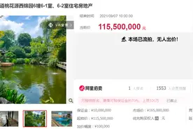 1.15亿杭州最贵法拍房流拍，装修比房贵，园内一棵红豆杉超千万图片