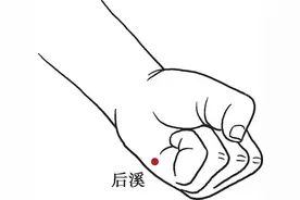 国医大师吕景山对穴：舒筋活络祛风止痛类 后溪—束骨图片