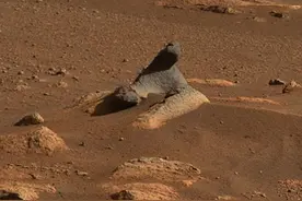 毅力号在火星发现一头海豹？这次照片很清晰，原来是一个风雕图片