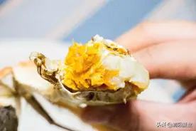 你所不了解的蟹膏，全程“膏”能图片