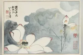 张大千荷花图册图片