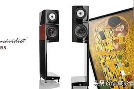 独一无二的维也纳之声旗舰书架箱The Kiss吻图片