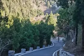 在佛慧山南面跑山，太阳高照暖洋洋图片