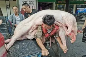 贵州“背肉汉”很累，他一次能扛起一头猪，却不能放下5个儿女图片