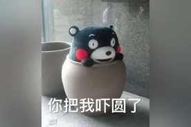 晒被子后的“阳光味”，真的是螨虫尸体的味道吗？图片