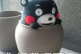 晒被子后的“阳光味”，真的是螨虫尸体的味道吗？图片