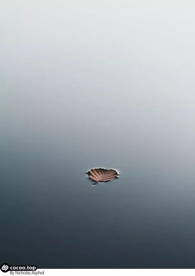 ������е�˫���ַ�