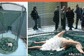 伦敦天空掉落的天使？骗局还是事实？传闻中的5大天空掉落之物图片