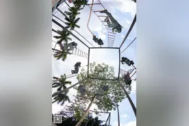 夏日练兵忙！走进武警广西总队火热练兵场图片