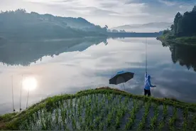 三天“钓空一座水库”，明令禁止的“泥鳅钓鱼”，危害真的很大图片