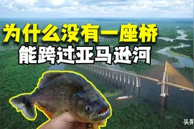 亚马逊河有多可怕？为什么没有一座桥能跨过它，甚至无人敢下水？图片