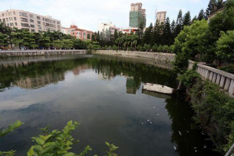 脚上起来好多小红点