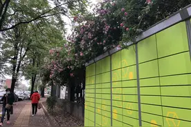 未经同意不能将快件投入快递柜，法官详解快递柜收费之惑图片