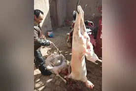 羊身上的这块肉，羊肉贩子如获至宝，宁愿留着自己吃也舍不得卖图片