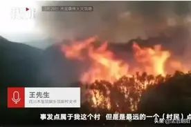 凉山火灾真相曝光：那个纵火的孩子，千万别放过他！图片