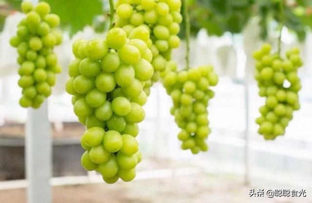 入秋后，这5种“时令水果”放开了吃，应季新鲜维C多，好吃不贵