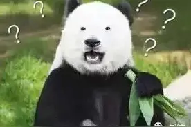 “别偷我袜子！”手术麻醉后说过的傻话，哈哈哈真没脸见人了…图片