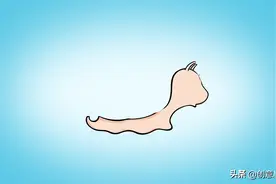 彩笔画：小蜗牛图片